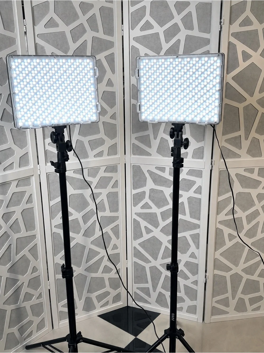 GVM R500R RGB LED Video Light Kit 2-Pack with Adjustable Stands